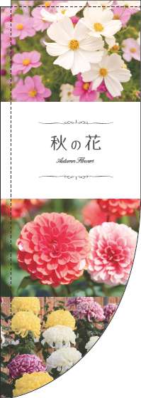 秋の花のぼり旗写真Rのぼり (棒袋仕様) -0240059RIN