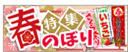 春のぼり
