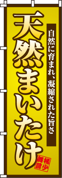 天然まいたけのぼり旗 0100176IN