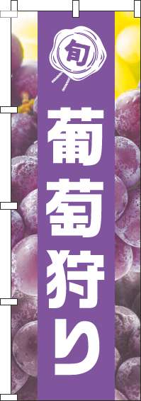 葡萄狩りのぼり旗写真紫帯-0100454IN