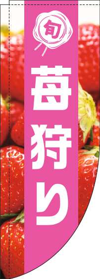 苺狩りのぼり旗写真ピンク帯Rのぼり(棒袋仕様)-0100457RIN