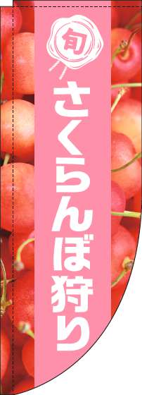 さくらんぼ狩りのぼり旗写真ピンク帯Rのぼり(棒袋仕様)-0100484RIN
