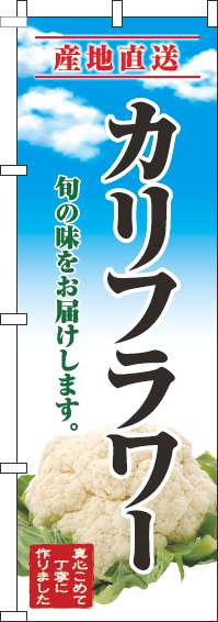 カリフラワーのぼり旗青空明-0100664IN