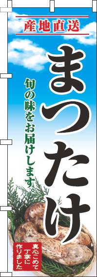 まつたけのぼり旗青空明-0100677IN