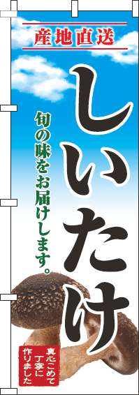 しいたけのぼり旗青空明-0100678IN