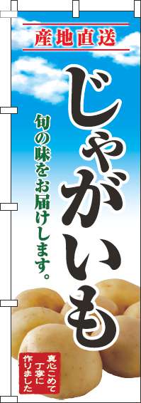 じゃがいものぼり旗青空明-0100681IN