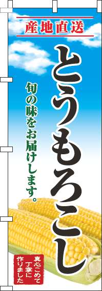 とうもろこしのぼり旗青空明-0100687IN