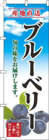 ブルーベリーのぼり旗青空明-0100870IN