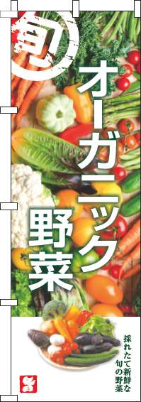 オーガニック野菜のぼり旗旬写真-0100886IN