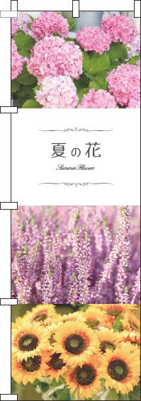 夏の花のぼり旗 写真 0240046IN