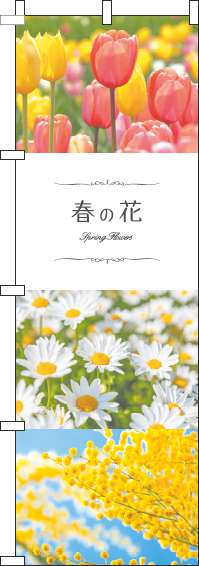 春の花のぼり旗写真-0240072IN