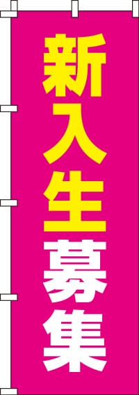 新入生募集ピンクのぼり旗-0270098IN