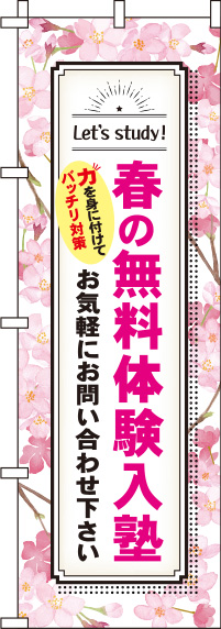 春の無料体験入塾桜のぼり旗0270207IN