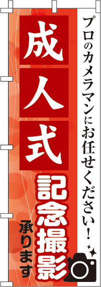 成人式記念撮影のぼり旗プロカメラマン 0420006IN